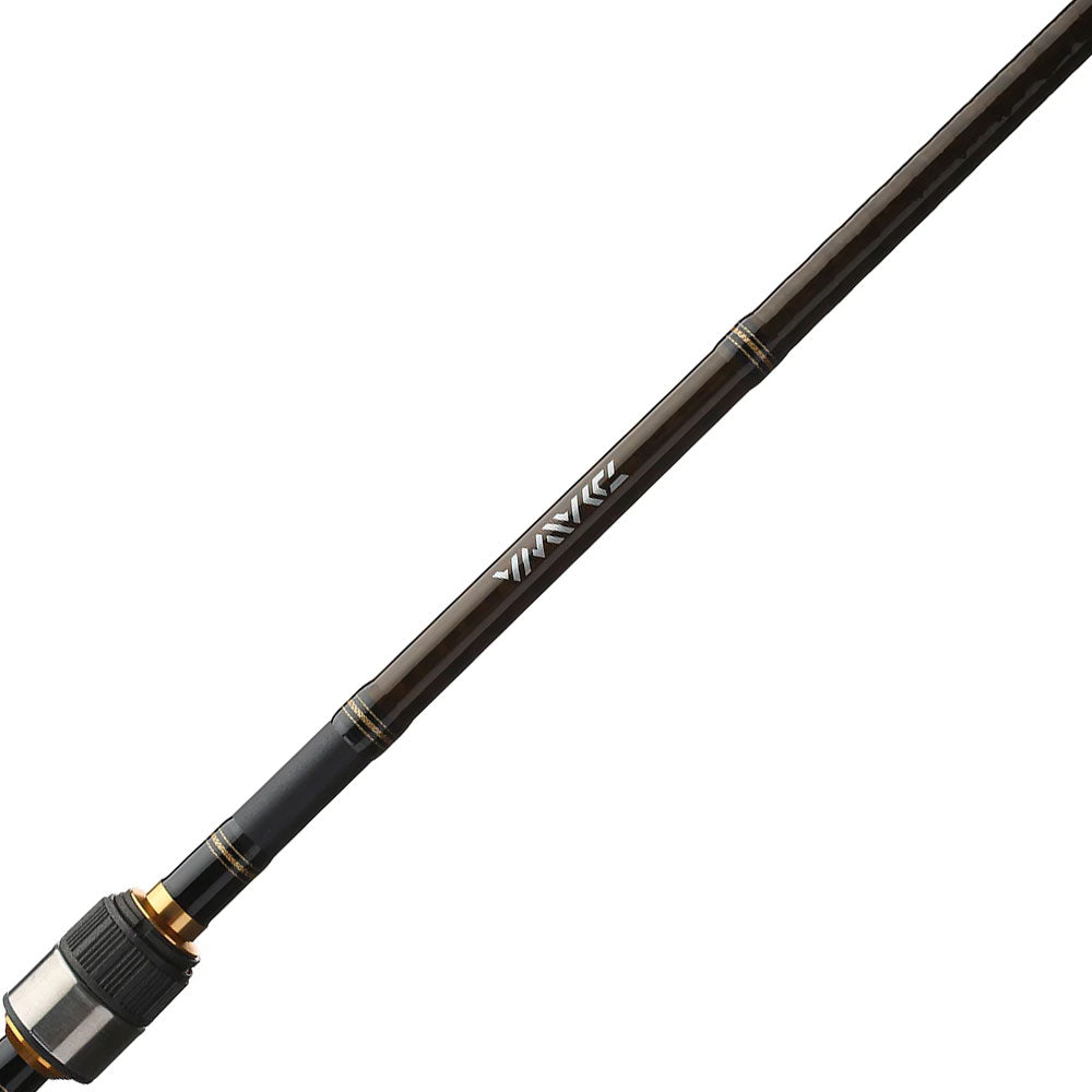 Daiwa, Canne à pêche au lancer Daiwa Aird X